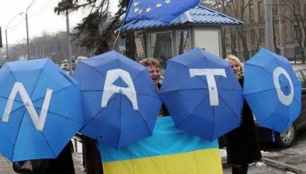 Если завтра война. Монолитность НАТО вызывает обоснованные сомнения 