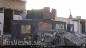 Кровавый провал в Мосуле: коалиция США несет ужасающие потери — подробности