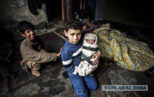 Сирия и ее дети – источник манипуляций