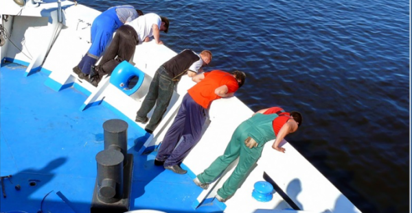 Морская болезнь воробандеровцев