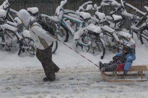 Что за рухлядь? Минобороны Украины похвасталось новым беспилотником