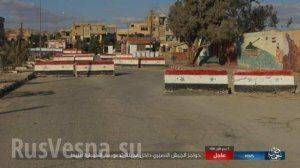 Пальмира: ИГИЛ публикует кадры захваченных танков, пленных и зачисток в городе