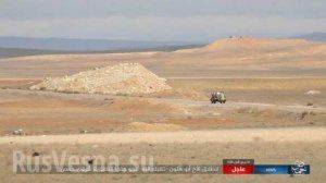 Бои под Пальмирой: ВКС России и Армия Сирии отражают наступление и контратакуют ИГИЛ