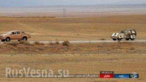 Бои под Пальмирой: ВКС России и Армия Сирии отражают наступление и контратакуют ИГИЛ