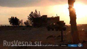 Бои под Пальмирой: ВКС России и Армия Сирии отражают наступление и контратакуют ИГИЛ