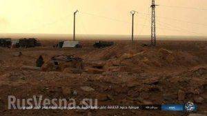 Бои под Пальмирой: ВКС России и Армия Сирии отражают наступление и контратакуют ИГИЛ