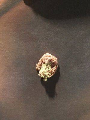 Корпоративы воюющей нации