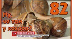 Ну, чё там у хохлов? Выпуск 82. Зрада 2017. Сало из Германии. Снегири-оккупанты во Львове