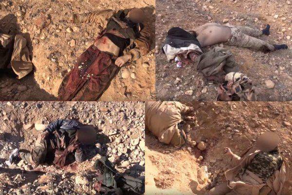 Пустыня под Пальмирой завалена трупами и техникой ИГИЛ: Армия Сирии и ВКС РФ быстро приближаются к городу