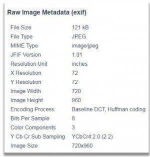 Фото с Президентом или как Фонтанка и Дождь тиражируют фейки из соцсетей