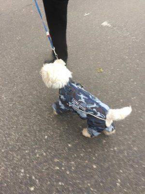 В ожидании провокаций Путина