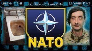 НАТО по-украински!
