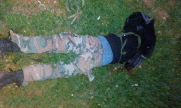 Капкан для «Аль-Каиды»: «Тигры» и ВКС РФ уничтожили атакующих боевиков и взяли поселок в Хаме