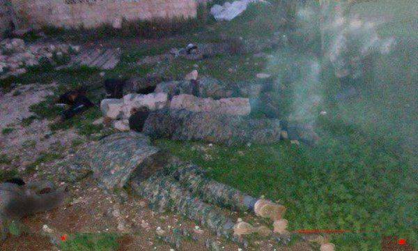 Капкан для «Аль-Каиды»: «Тигры» и ВКС РФ уничтожили атакующих боевиков и взяли поселок в Хаме