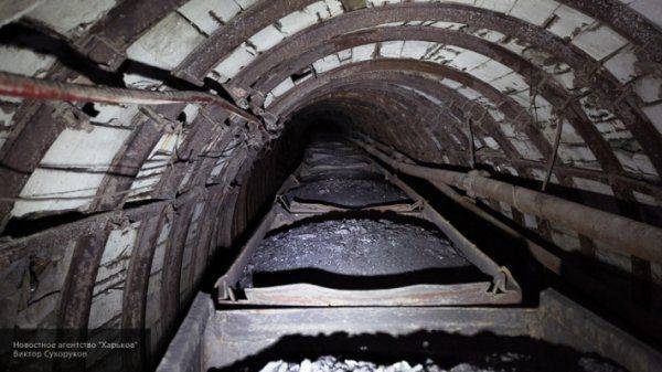 Геннадий Онищенко назвал Порошенко «дурнем» за желание конфисковать уголь ЛДНР