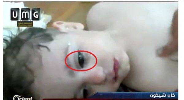 Большое расследование фальсификации "химатаки по Хан-Шейхуну"