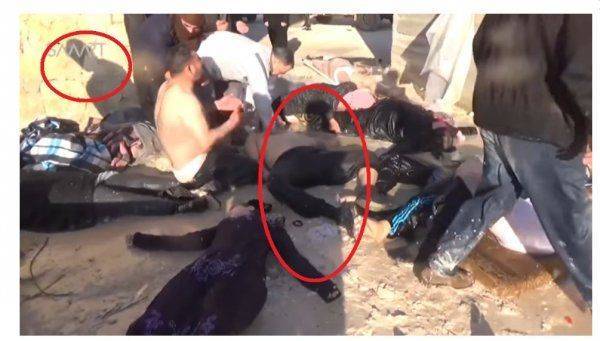 Большое расследование фальсификации "химатаки по Хан-Шейхуну"