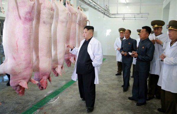 Чучхе победила Бандеру: Почему КНДР лучше режима на Украине