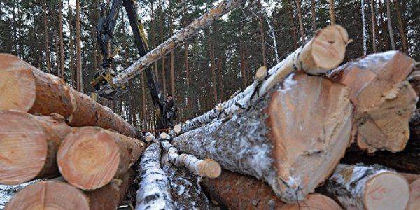 Украина идет лесом