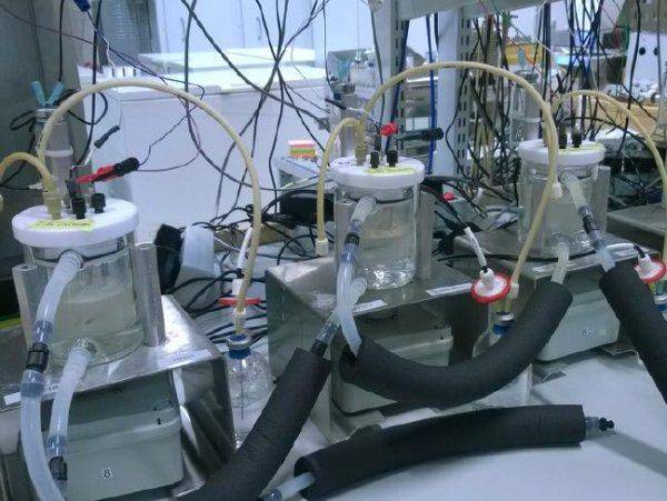 Когда протеиновые реакторы начнут производить пищу из воздуха и электричества?