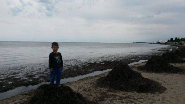 Тухлая тина и повальные кражи. Что влечёт россиян на курорты Украины?  