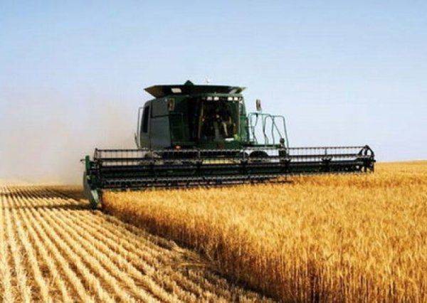 Украинские земли проданы иностранцам. Украина соперничает с Конго и Папуа по количеству сданных сельхозугодий