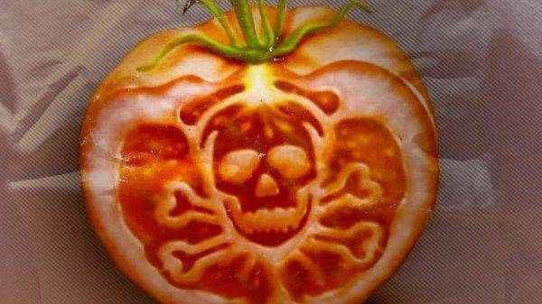 О том, какую "эволюцию" хотят России борцы с "лженаукой", ГМО и религией