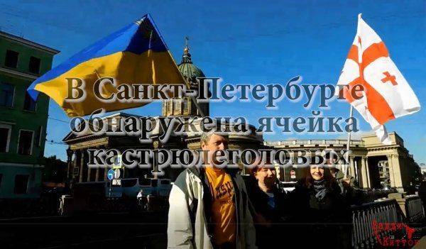 В Питере орудует ватага кастрюлеголовых