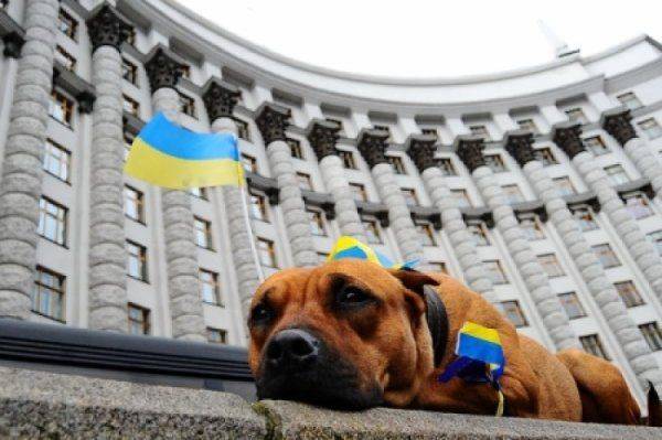 Суть реформ