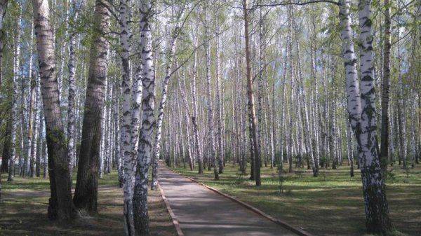 "Когда я думаю о России, мне хочется кричать". Путевые заметки немца