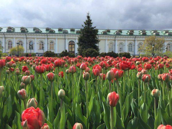 Впечатления полячки от путешествия по России