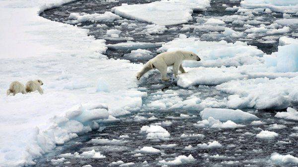 Климат пошёл вразнос