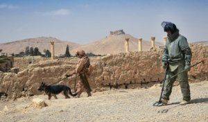 Хроника борьбы сирийского народа против ИГИЛ