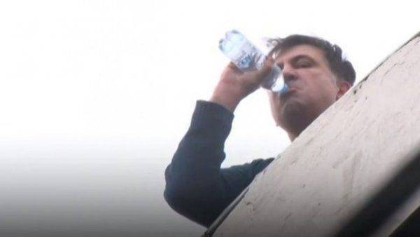 Трепач на крыше