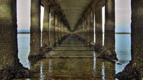 Керченский мост атакован медузами-мутантами