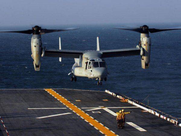 Керченский мост атакован медузами-мутантами