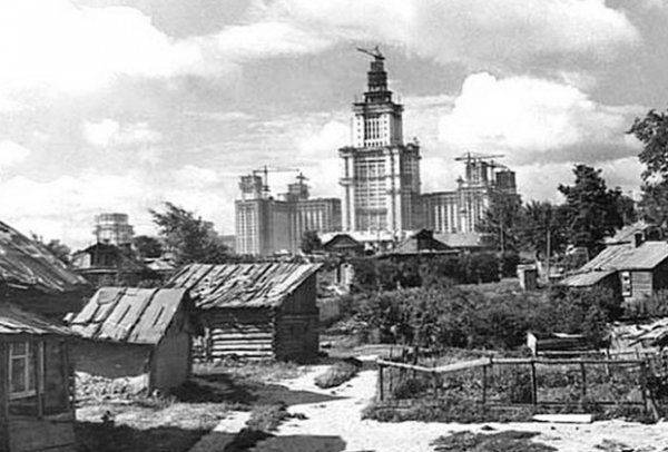 «Их расстрелять, мертвых?»