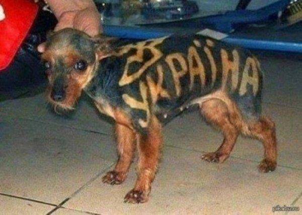 Антикоррупционный суд: прощание с независимостью?