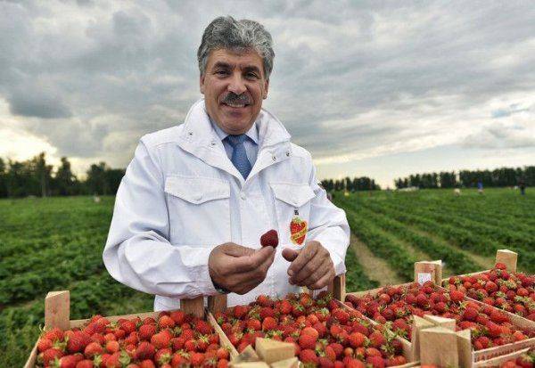 Грудинин. Разложим пациента с точки зрения марксизма-ленинизма