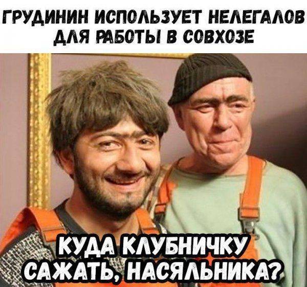 Грудинин попал в очередной скандал: прокуратуру попросили проверить кандидата в президенты