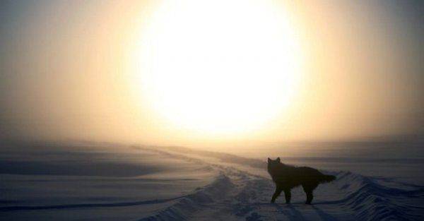 Самое холодное село в мире: Реакция иностранцев на российский Оймякон