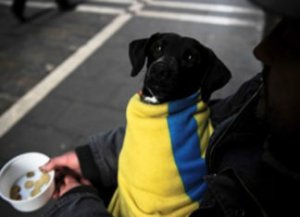 «Ще не вмерла Україна»?