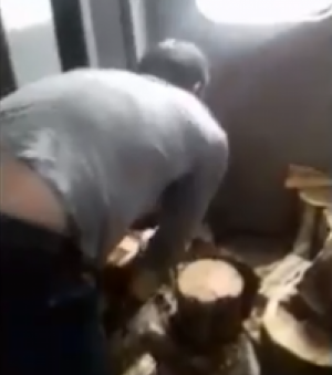 Европеизация: пассажиры поезда "Одесса – Ужгород" вынуждены рубить дрова, чтобы не замерзнуть