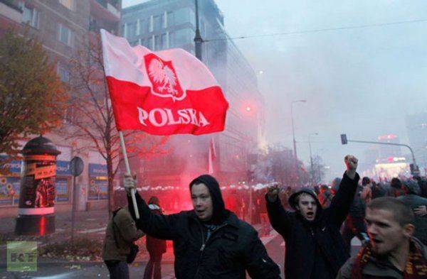 Польские неонацисты: мочить в сортире