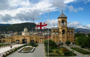 Ошибки политического руководства Грузии