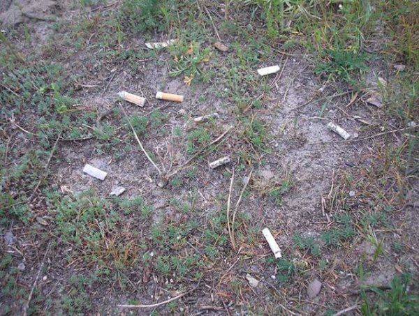 Киевляне и кыяны: из опыта контактов миров