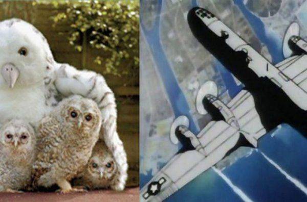 Подворья в Киеве и Львове – два крыла Церкви-Матери над Украиной. Как это воспринимают церкви и власти?