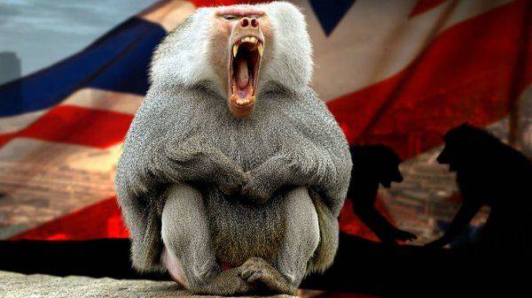 Английские власти сами себя загнали в клетку в деле с отравлением Скрипаля