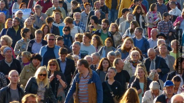Они не всадят нож в спину: киевский политик признал мощь русских и слабость украинцев