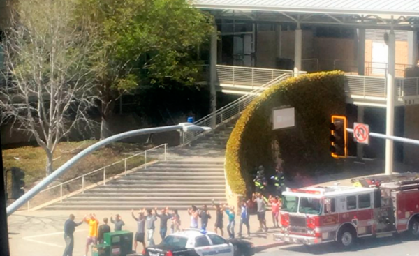 Странные увлечения напавшей на штаб-квартиру Youtube